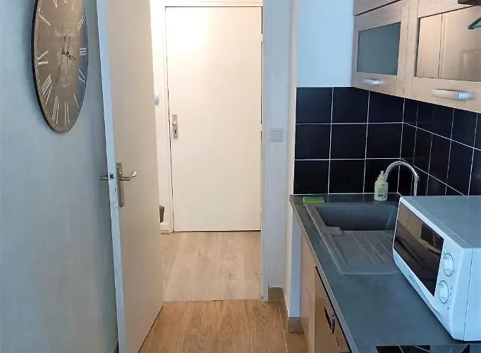 Lägenhet Refait A Neuf Avec Piscine Sur